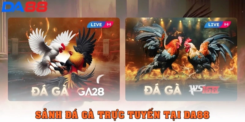 Đá gà trực tuyến